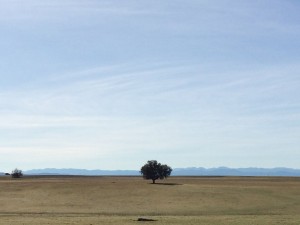 IMG_3473