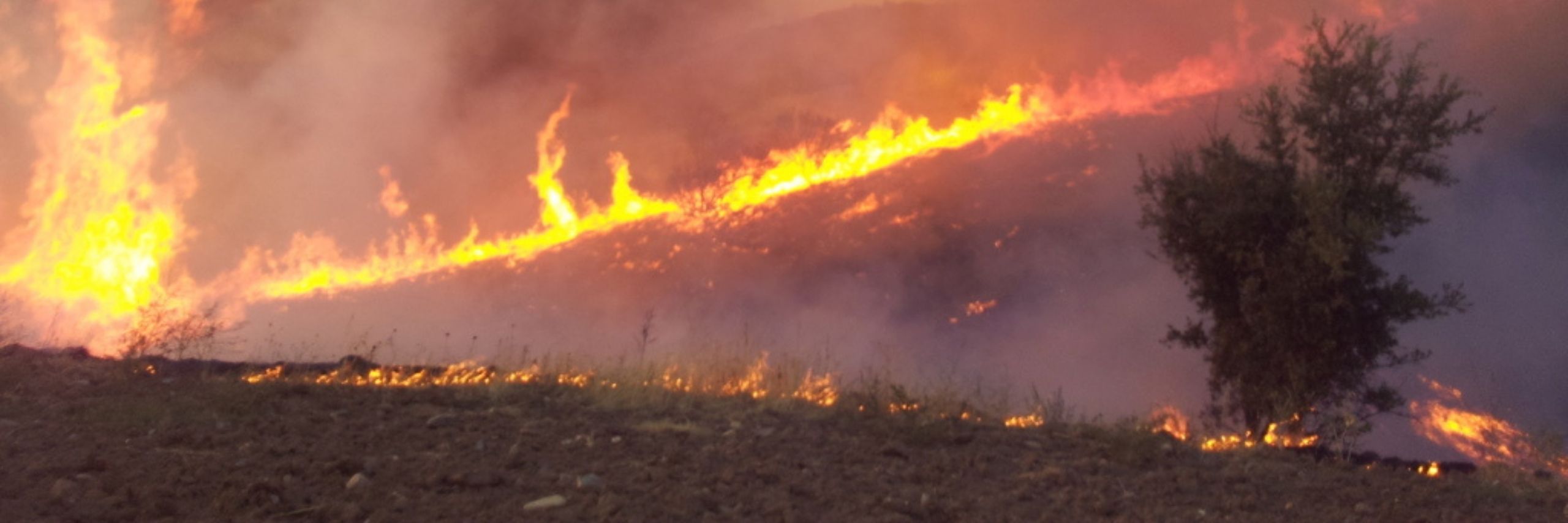 Quina relació tenen els grans incendis forestals amb el canvi climàtic?