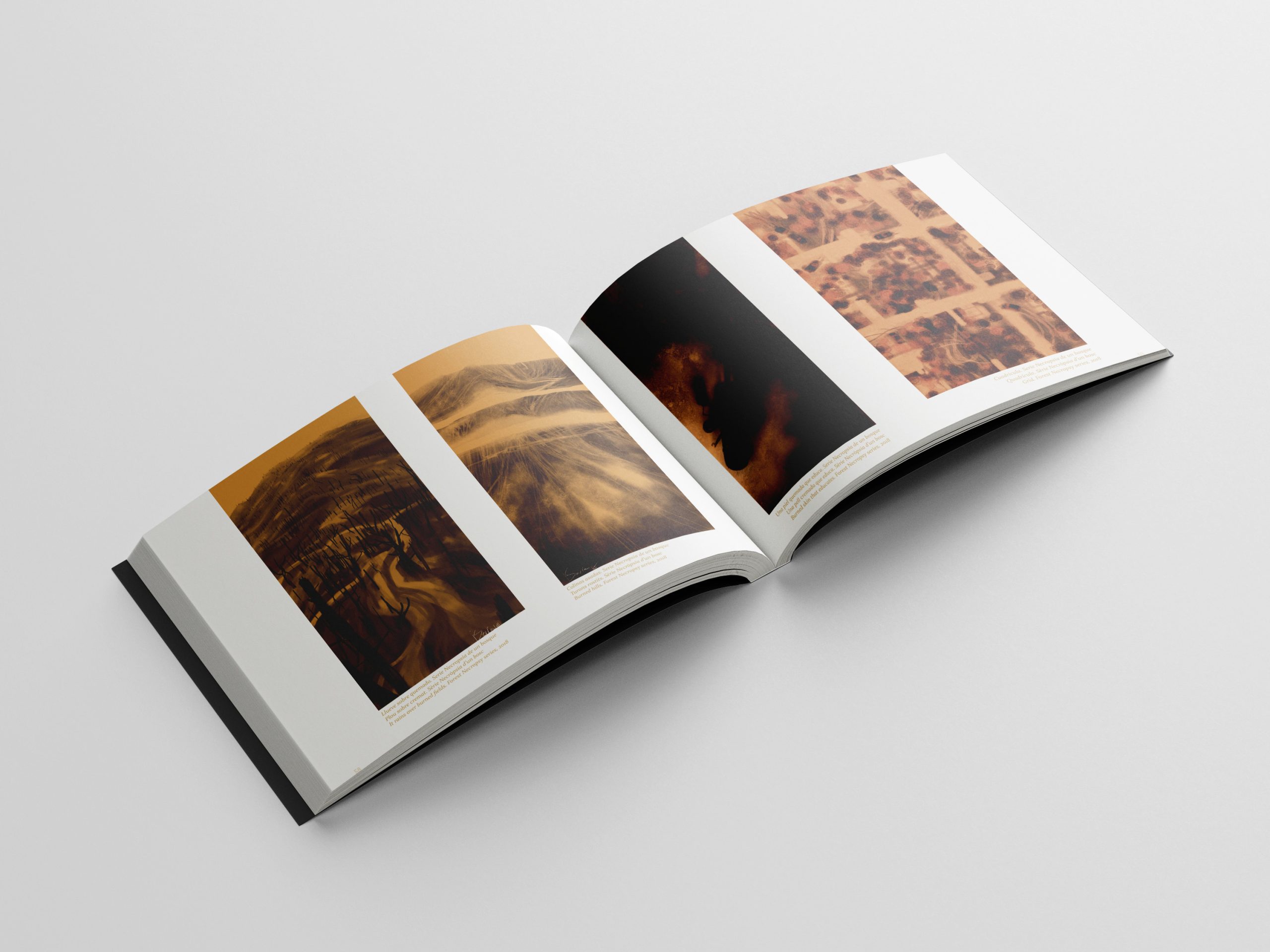 El vínculo con el fuego - Imagen 3